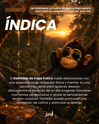 Cepa Indica SMK