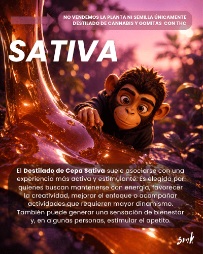 Cepa Sativa SMK